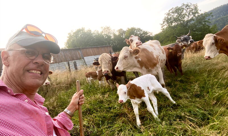 Oliver Boillat macht ein Selfie vor Mutterkühen und Kälbern seines Sohnes